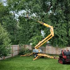 Best Tree Removal Service  in Desert Edge, CA